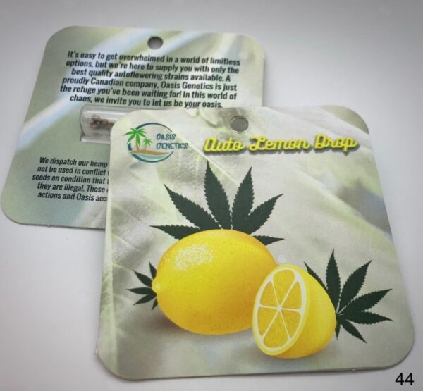 Oasis Seed Pack